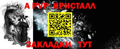 ECSTASY Гай