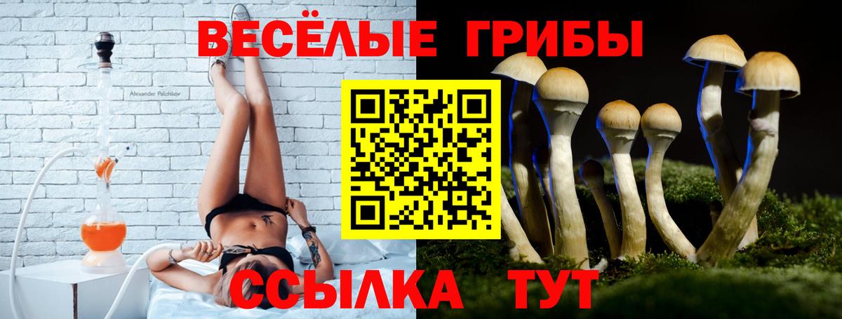 Галлюциногенные грибы прущие грибы  Вход с VPN  что такое наркотик  Мценск 